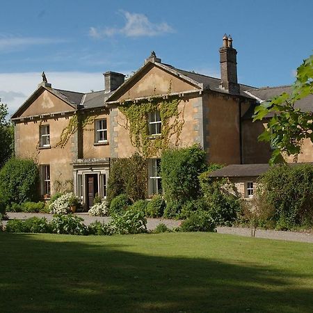 Kilgraney House Pension Bagenalstown Buitenkant foto