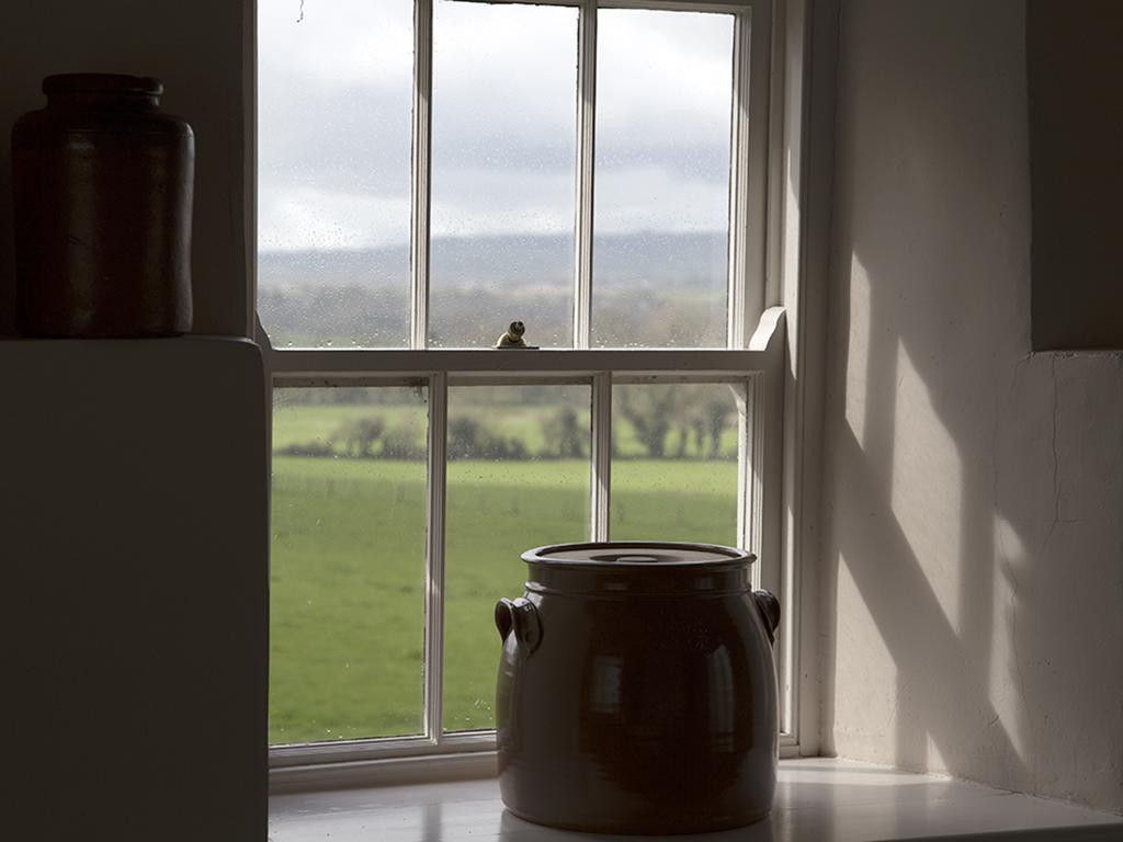 Kilgraney House Pension Bagenalstown Buitenkant foto